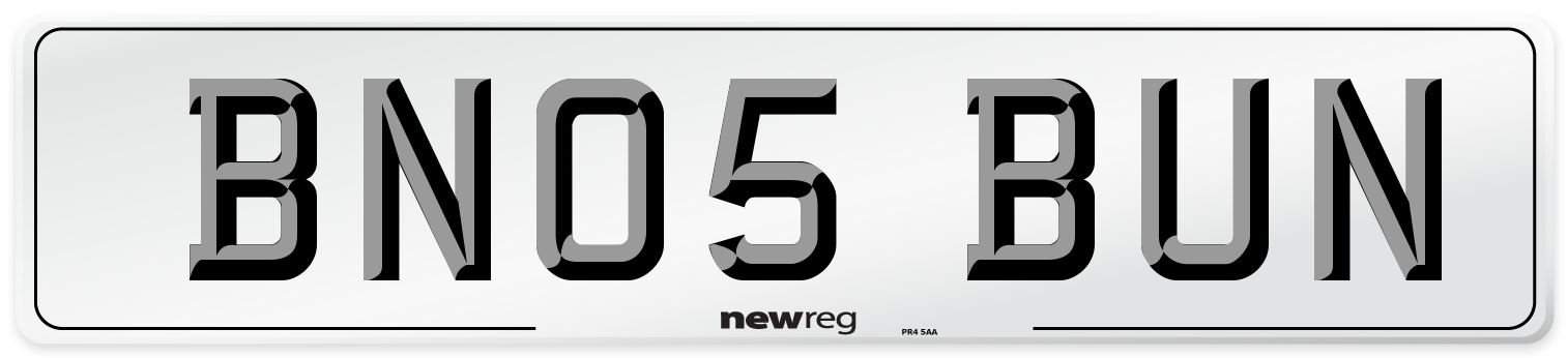 BN05 BUN Number Plate from New Reg